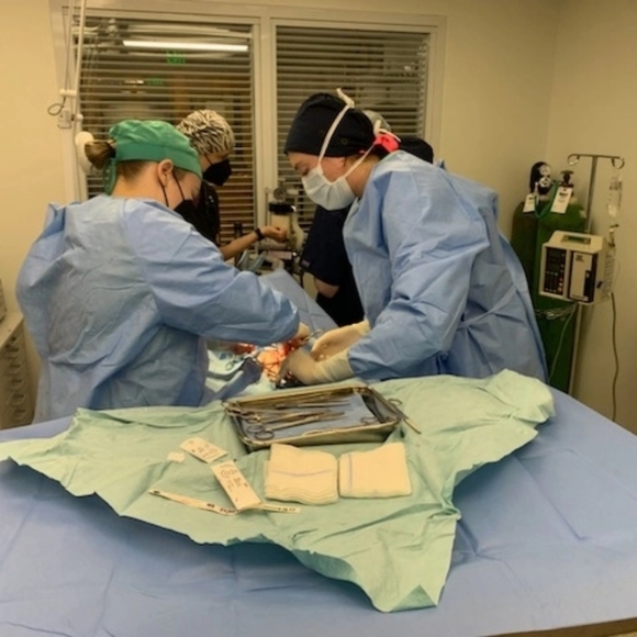 Meet your Posher, Chelly - Picture 3 of 10